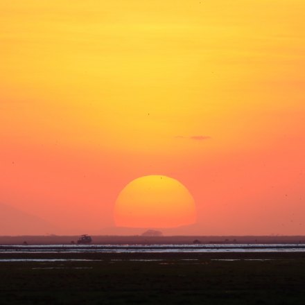 サバンナの夕陽