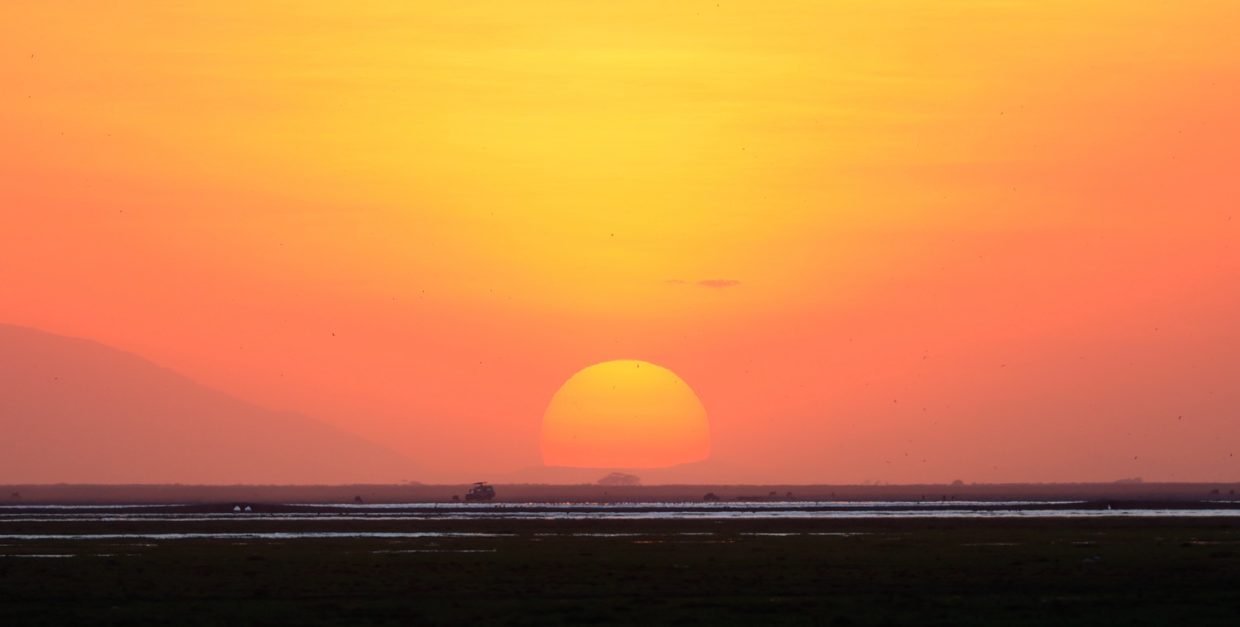 作品｜夕陽